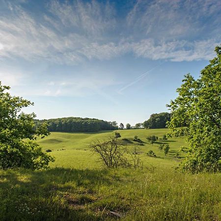 Nengshof Ferienhaus Gaensebluemchen Wissmannsdorf ภายนอก รูปภาพ