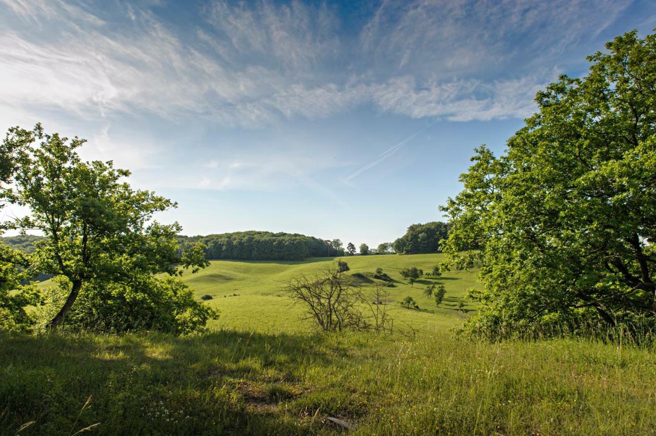 Nengshof Ferienhaus Gaensebluemchen Wissmannsdorf ภายนอก รูปภาพ